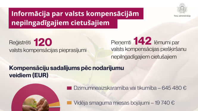 infografika