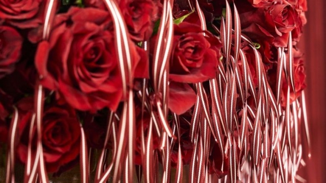 rozes un lentes