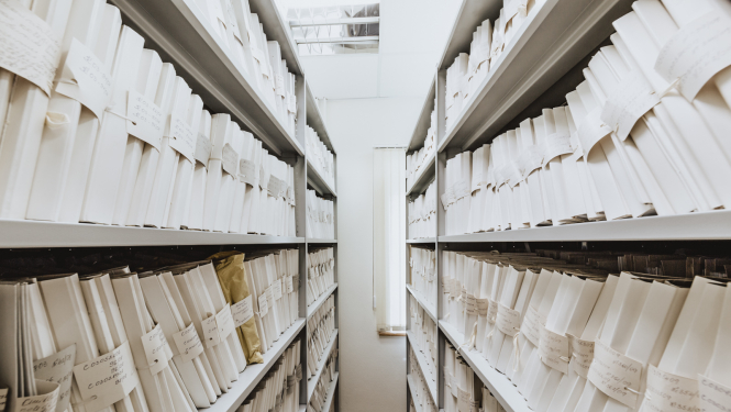 Arhīva plaukti ar lietām