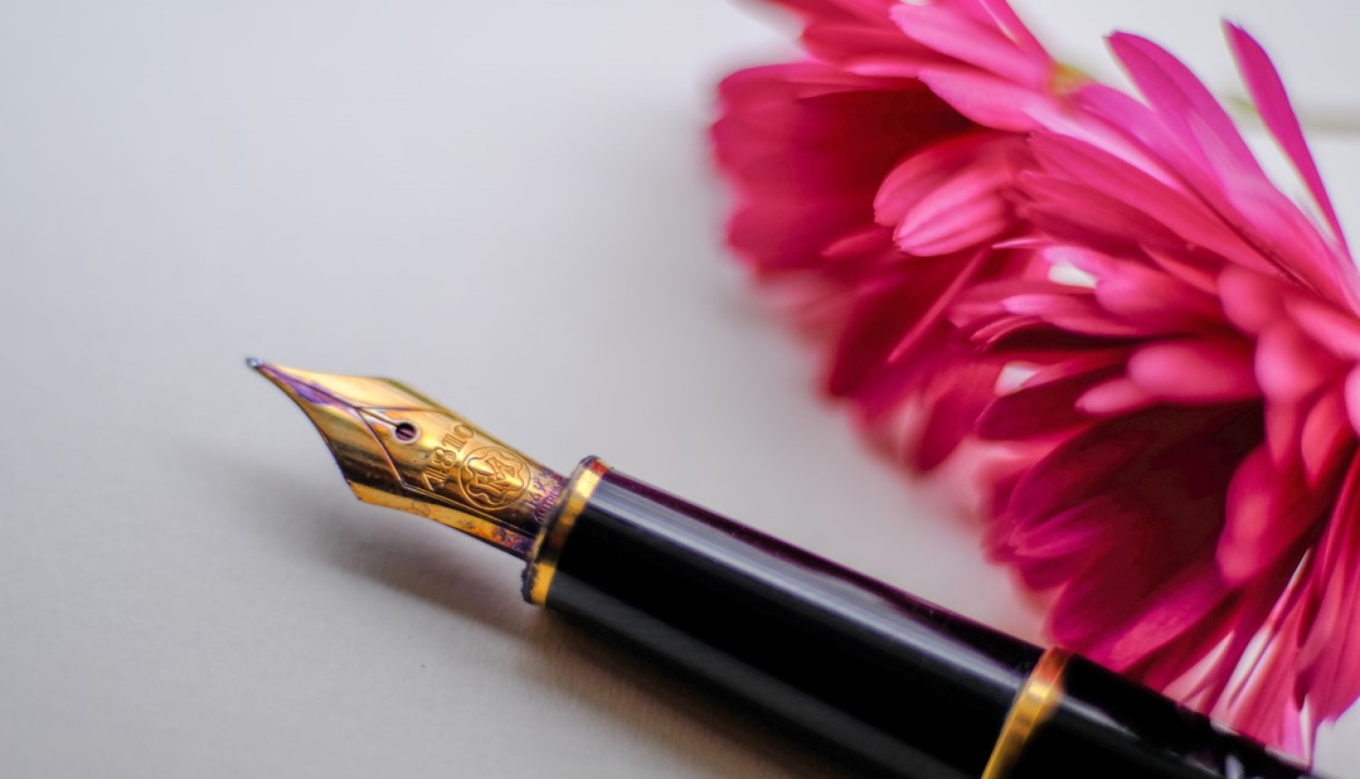 Pildspalva un asteres zieds