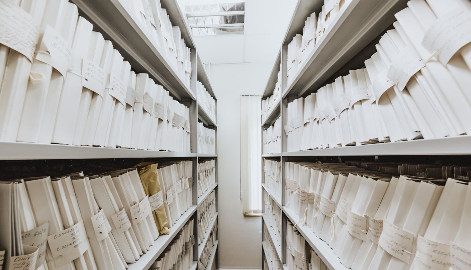 Arhīva plaukti ar lietām